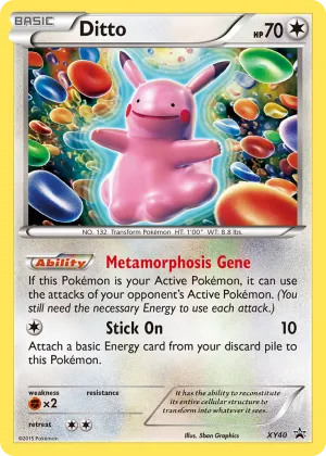 Ditto Pokémon XY Black Star Promos #XY40 Holo