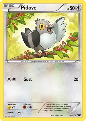 Pidove Pokémon BW Black Star Promos #BW15