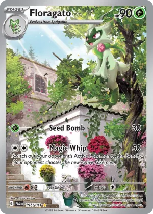 Floragato Pokémon Paldea Evolved #197 Holo