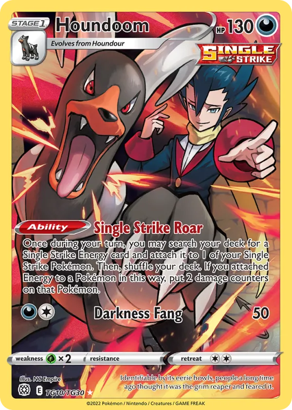 Houndoom Pokémon Brilliant Stars Trainer Gallery #TG10 Holo