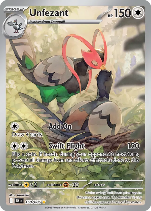 Unfezant Pokémon Black Bolt #150 Holo
