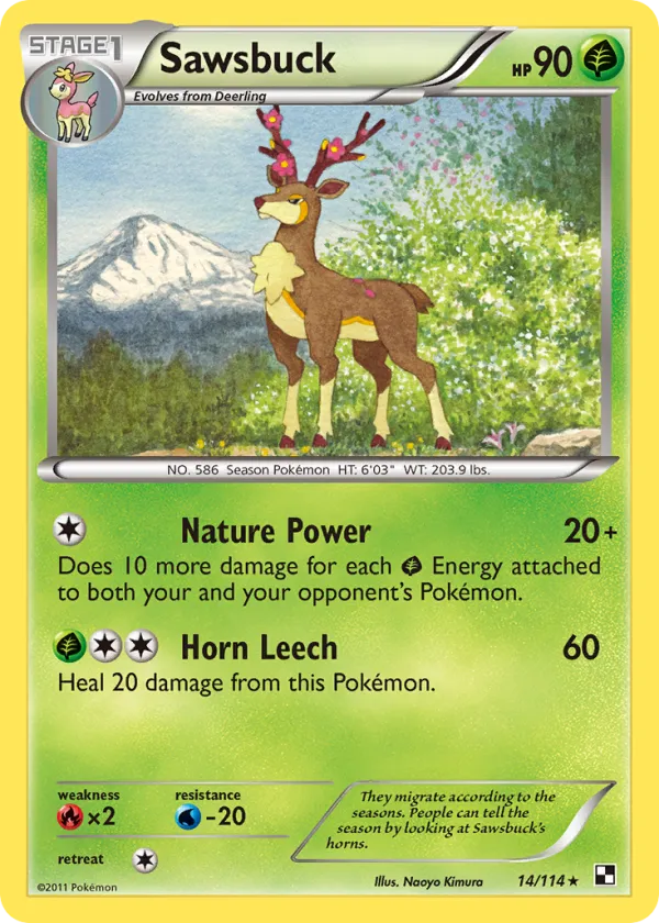 Sawsbuck Pokémon Black & White #14